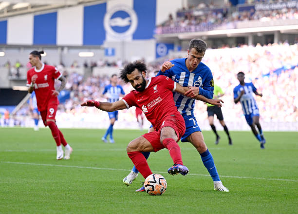 球迷們都見 球迷們都見